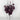 Supreme Eucalyptus Bush Purple 22” - Uncategorized Silk