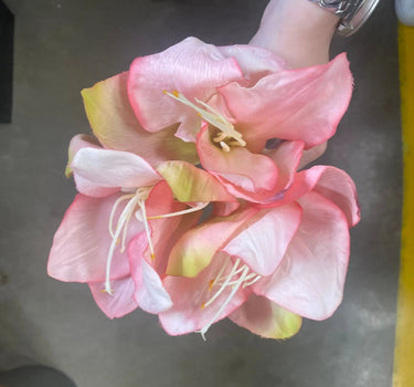 AmBest Amaryllis Bundle 12" Pink - Artificial Flowering Plants Silk