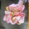 AmBest Amaryllis Bundle 12" Pink - Artificial Flowering Plants Silk