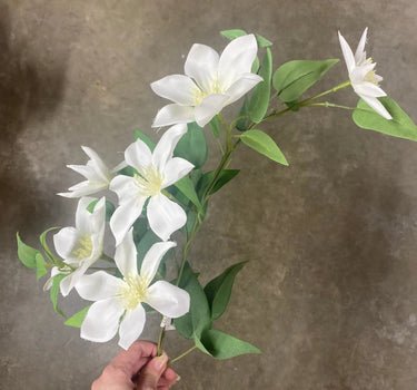 Le Fleur Clematis Spray Cream 34" - Silk