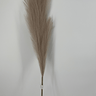 Select Bushy Pampas Grass Spray 43" Beige - Artificial Non-Flowering Plants Silk