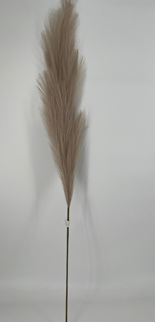Bushy Pampas Grass Spray 43" Beige