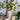 A&B White Ceramic Lemon Pitcher Vase 6.3" x 6" - Vases Merchandise