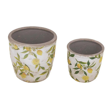 A&B Lemon Planter (2 Sizes) 5-6" - Planters Merchandise