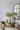 A&B Lemon Planter (2 Sizes) 5-6" - Planters Merchandise