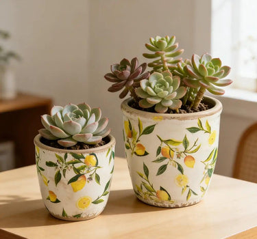 A&B Lemon Planter (2 Sizes) 5-6" - Planters Merchandise
