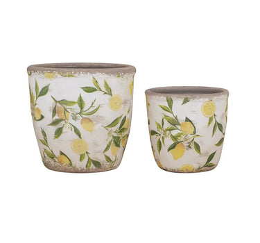 A&B Lemon Planter (2 Sizes) 5-6" - Planters Merchandise