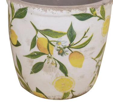 A&B Lemon Planter (2 Sizes) 5-6" - Planters Merchandise