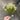 Supreme Gypsophia Spray White 15" - Artificial Flowering Plants Silk
