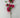 Le Fleur Cherry Blossom Spray Red 20" - Artificial Flowering Plants Silk