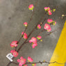 AmBest Plum Blossom Branch Hot Pink 35" - Uncategorized Silk