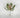 Select Narrow Leaf Echeveria Dusty Pink 8" - Potted Houseplants Silk