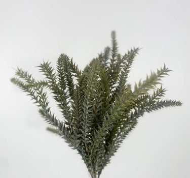 Supreme Bipinnate Bush x7 Frost Green 17" - Artificial Flora Silk