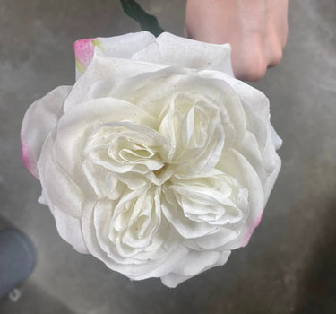 AmBest Garden Rose Stem White 24" - Artificial Flowering Plants Silk
