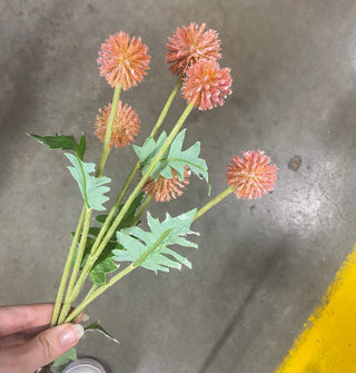 Globe Thistle Spray Orange 25"