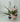 FlowerBox Bottle Bouquet Clip - Uncategorized Merchandise