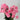 Fortune Mini Pompom Bush Pink 19” - Artificial Flowering Plants Silk