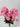 Fortune Mini Pompom Bush Pink 19” - Artificial Flowering Plants Silk