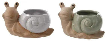 Snail or Turtle Planter (2 Asst) 3.25"H x 4.75"W