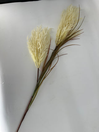 Reed Spray 47'' Cream