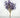Le Fleur Forsythia Bundle Purple 21" - Artificial Flowering Plants Silk