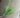 Le Fleur Fern Bush Green 16" - Artificial Flora Silk
