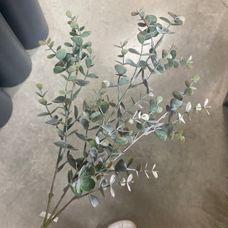 Eucalyptus Spray Grey/Green 27"