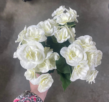 Direct Export Begonia Bush White 10" - Artificial Flora Silk