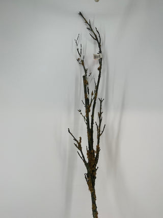 Twig Branch w/ Moss 56"