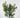 Fortune Leaves Bush Green - Silk