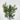 Fortune Leaves Bush Green - Silk