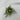 Le Fleur Sweet Veronica Bush 14" - Uncategorized Silk