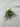Le Fleur Sweet Veronica Bush 14" - Uncategorized Silk