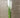 Direct Export Reed Grass Spray White 52" - Artificial Non-Flowering Plants Silk