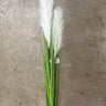 Direct Export Reed Grass Spray White 52" - Artificial Non-Flowering Plants Silk