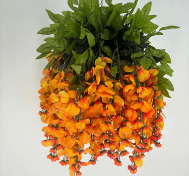 Wisteria Pumpkin Hanging Basket
