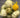 Cream-Green Pumpkin/Gourds 6" (Bag of 8)