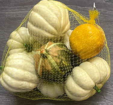 Cream-Green Pumpkin/Gourds 6" (Bag of 8)