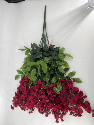 Wisteria Burgundy Hanging Bush x15
