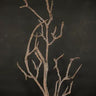 Light Garden Faux Brown Branch 30" - Silk