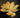 Light Garden Mustard Linen Flower Stem 28" - Artificial Flowering Plants Silk