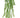 Select Thistle Tassel Grass Plant Green 15" - Artificial Non-Flowering Plants Silk