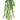 Select Thistle Tassel Grass Plant Green 15" - Artificial Non-Flowering Plants Silk
