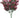 UV Noble Bush Fuchsia 12.2"