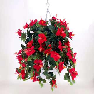 Hibiscus Red Hanging Basket