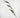 Select Wild Grass Vine Grey-Green 42" - Uncategorized Silk
