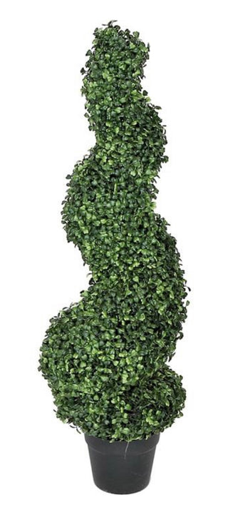 Spiral Boxwood In Pot UV Green 3'