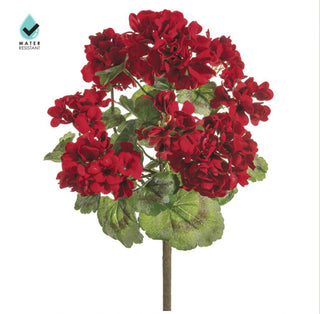 Geranium Bush Red 18" Water Resistant