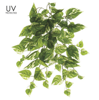 UV Protected Pothos Bush 19"