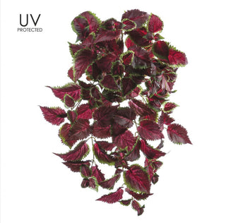 UV Protected Coleus Hng/Bu 25"